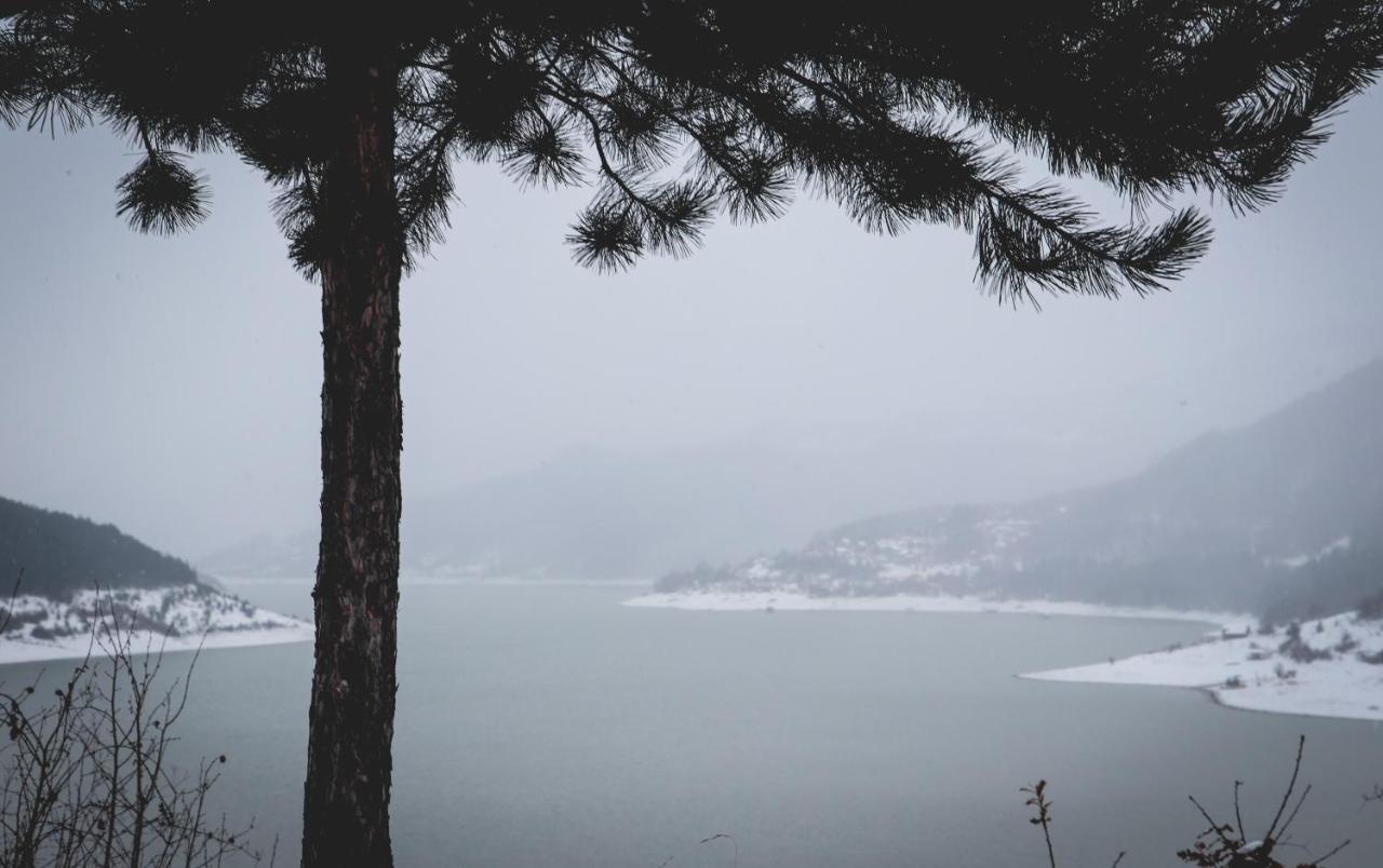 Vila Nemir Zavojsko Jezero Пирот Екстериор снимка